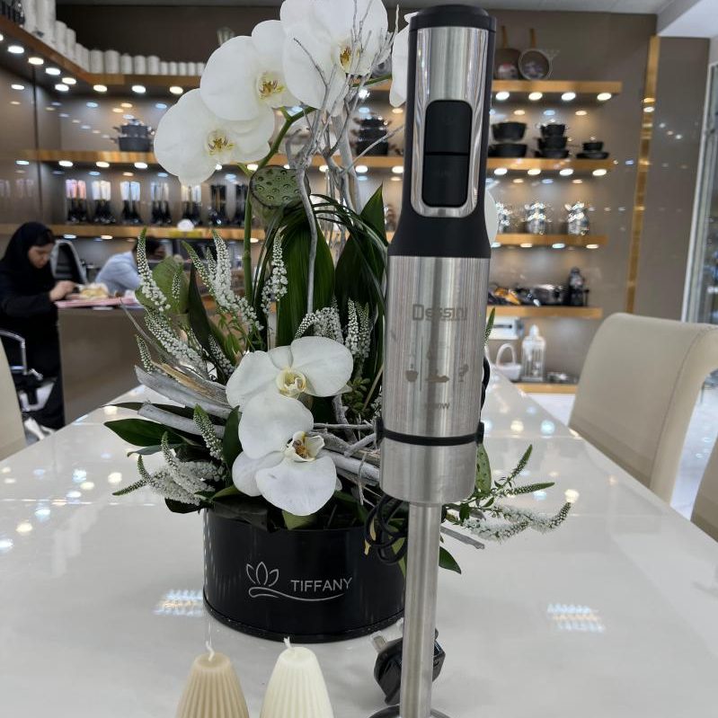 گوشت کوب برقی دسینی