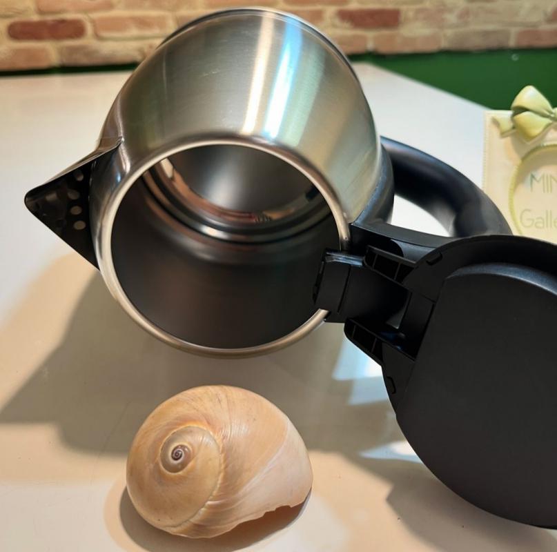 کتری برقی راف مدل 7816 ج