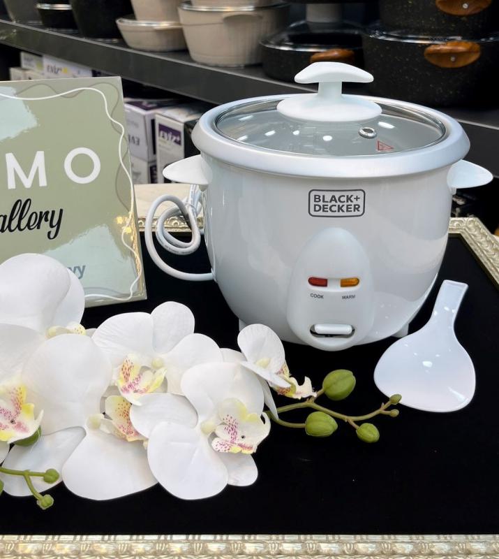 پلوپز بلک اند دکر مدل RC650 الف