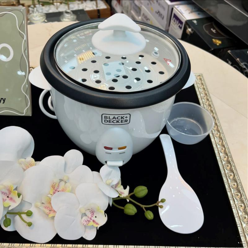 پلوپز 4 نفره بلک اند دکر مدل RC-1050 ب