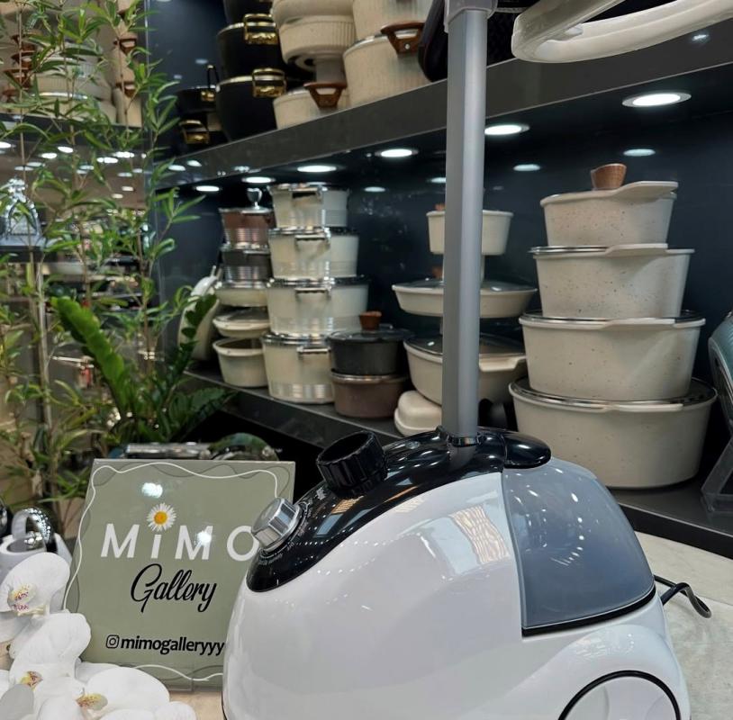 بخارگر بلاجیو مدل 179 د